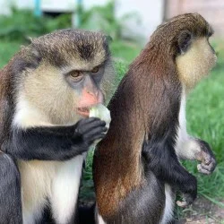 В царството на животните: Посещение за двама в зоопарк Бургас 