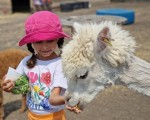 Подарете си едно невероятно преживяване в животинския свят с Посещение за двама + 2 деца в зоопарк Бургас от Makaroon Подарете си едно невероятно преживяване в животинския свят с Посещение за двама + 2 деца в зоопарк Бургас от Makaroon