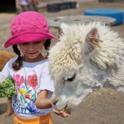 In the animal kingdom: Visit for two + 2 children aged 2-14 to Burgas Zoo