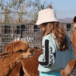 В царството на животните: Посещение за двама + 1 дете на 2-14 г. в зоопарк Бургас 