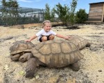 Подарете си едно невероятно преживяване в животинския свят с Посещение за двама + 2 деца в зоопарк Бургас от Makaroon Подарете си едно невероятно преживяване в животинския свят с Посещение за двама + 2 деца в зоопарк Бургас от Makaroon