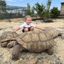 В царството на животните: Посещение за двама + 1 дете на 2-14 г. в зоопарк Бургас 