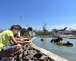 Подарете си едно невероятно преживяване в животинския свят с Посещение за двама + 2 деца в зоопарк Бургас от Makaroon Подарете си едно невероятно преживяване в животинския свят с Посещение за двама + 2 деца в зоопарк Бургас от Makaroon