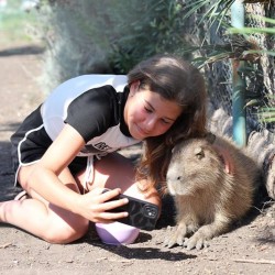 In the animal kingdom: Visit for two + 2 children aged 2-14 to Burgas Zoo In the animal kingdom: Visit for two + 2 children aged 2-14 to Burgas Zoo