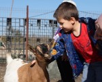Подарете си едно невероятно преживяване в животинския свят с Посещение за двама + 2 деца в зоопарк Бургас от Makaroon Подарете си едно невероятно преживяване в животинския свят с Посещение за двама + 2 деца в зоопарк Бургас от Makaroon