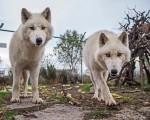Подарете си едно невероятно преживяване в животинския свят с Посещение за двама + 2 деца в зоопарк Бургас от Makaroon Подарете си едно невероятно преживяване в животинския свят с Посещение за двама + 2 деца в зоопарк Бургас от Makaroon