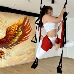 Индивидуална практика „Въздушна йога за бременни“ 