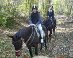 Природа, коне и релакс с "Езда сред природата за начинаещи в с. Батошево" от Makaroon Природа, коне и релакс с "Езда сред природата за начинаещи в с. Батошево" от Makaroon