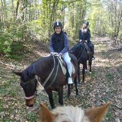 Riding in nature for beginners in the village of Batoshevo