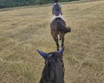 Природа, коне и релакс с "Езда сред природата за начинаещи в с. Батошево" от Makaroon Природа, коне и релакс с "Езда сред природата за начинаещи в с. Батошево" от Makaroon