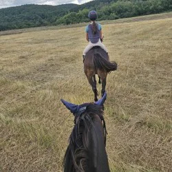 Урок по езда на манеж в с. Батошево за двама 