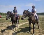 Природа, коне и релакс с "Езда сред природата за начинаещи в с. Батошево" от Makaroon Природа, коне и релакс с "Езда сред природата за начинаещи в с. Батошево" от Makaroon