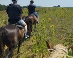 Приказна разходка с "Поход за напреднали ездачи с включен пикник сред природата за двама в с. Батошево" от Makaroon