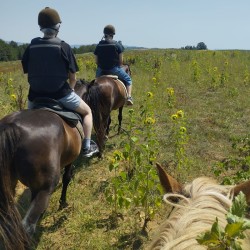 Hike for advanced riders with included picnic in nature for two in the village of Batoshevo