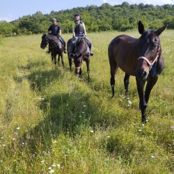 Езда сред природата за трима начинаещи в с. Батошево