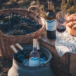 Вино и приятели с „Дегустационен пакет Класик за до 10 души“ край Варна Вино и приятели с „Дегустационен пакет Класик за до 10 души“ край Варна