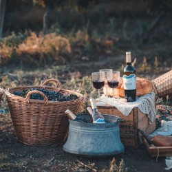 Вино и приятели с „Дегустационен пакет Класик за до 10 души“ край Варна