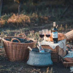 Вино и приятели с „Дегустационен пакет Класик за до 10 души“ край Варна