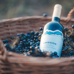 Boutique wines and good times with "Premium Tasting Package for up to 10 people" near Varna