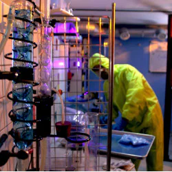 Ескейп стая Breaking Bad за шестима Ескейп стая Breaking Bad за шестима