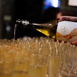 Дегустация на 3 сезонни вина за четирима в Изба Одесос, Варна 