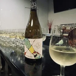 Дегустация на 3 сезонни вина за двама в Изба Одесос, Варна 