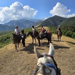 Конна езда + обяд или вечеря в юрта в конен двор Странник, Карлово 
