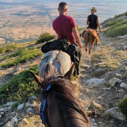 Конен преход за 4 часа + обяд или вечеря в юрта в конен двор Странник, Карлово   