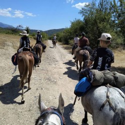 Horseback riding + lunch or dinner in a yurt at the Strannik horse farm, Karlovo - for two 