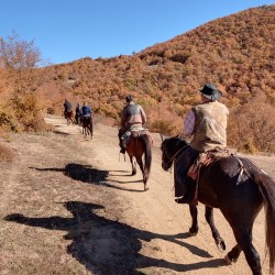 Конен преход за 4 часа + обяд или вечеря в юрта в конен двор Странник, Карлово   