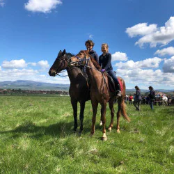 Разходка с кон до Дендрариума или Копитото Разходка с кон до Дендрариума или Копитото