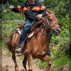 Разходка с кон 60 минути в полите на Витоша за двама