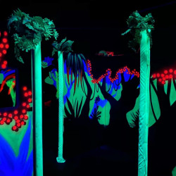 Eliminate your enemies with "One Game of Laser Arena for Two"