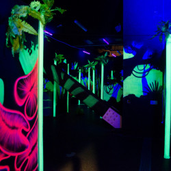 Eliminate your enemies with "One Game of Laser Arena for Two"