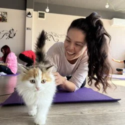 Вълшебно изживяване „Йога с котенца“ Вълшебно изживяване „Йога с котенца“