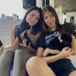 Йога практика с малки кученца в София  Йога практика с малки кученца в София