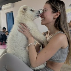 Йога практика с малки кученца в София 