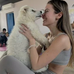 Йога практика с малки кученца в София  Йога практика с малки кученца в София