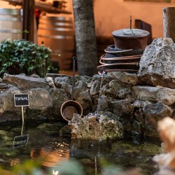 Посещение на музея на ракията с включена дегустация на пакет отлежали ракии и бренди