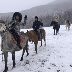 Урок по конна езда край Своге и стрелба с лък за двама души Урок по конна езда край Своге и стрелба с лък за двама души