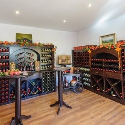 Съчетайте винения туризъм със спорт с Велотур от винарна Рупел до винарна Орбелус за двама + 2 винени дегустации