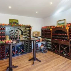 Съчетайте винения туризъм със спорт с Велотур от винарна Рупел до винарна Орбелус за двама + 2 винени дегустации Съчетайте винения туризъм със спорт с Велотур от винарна Рупел до винарна Орбелус за двама + 2 винени дегустации