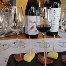 Съчетайте винения туризъм със спорт с „Велотур от винарна Рупел до винарна Орбелус за двама“ Съчетайте винения туризъм със спорт с „Велотур от винарна Рупел до винарна Орбелус за двама“