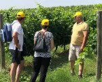 С колело сред природата + хубаво вино с „Велотур от винарна Рупел до винарна Орбелус за двама“ от Makaroon С колело сред природата + хубаво вино с „Велотур от винарна Рупел до винарна Орбелус за двама“ от Makaroon