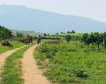 С колело сред природата + хубаво вино с „Велотур от винарна Рупел до винарна Орбелус за двама“ от Makaroon С колело сред природата + хубаво вино с „Велотур от винарна Рупел до винарна Орбелус за двама“ от Makaroon