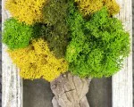 Изкуство и природа с Арт работилница за скандинавски мъх в София или Варна от Makaroon Изкуство и природа с Арт работилница за скандинавски мъх в София или Варна от Makaroon