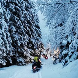 Екстремна зимна приказка „Разходка с моторна шейна край Пампорово“ - за двама на една шейна