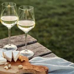 Дегустация на 3 вида магарешко сирене и вино за двама в с. Виница, Пловдив