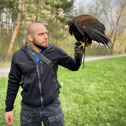 Господарите на небето: Групово шоу с мишелов на Харис и скален орел за двама Господарите на небето: Групово шоу с мишелов на Харис и скален орел за двама