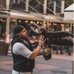 Индивидуално авиошоу с грабливи птици за двама